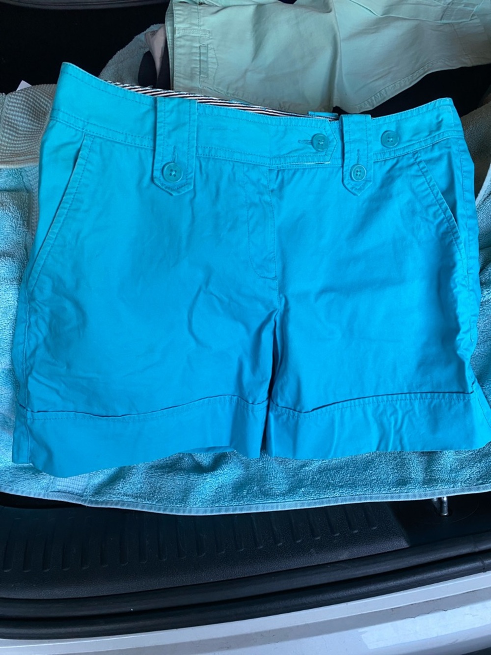 Bright Aqua Turquoise Cotton Shorts